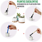 Kit Herramientas Jardín Cactus Plantas Suculenta x13 Piezas Más Bolso - Miniatura 7