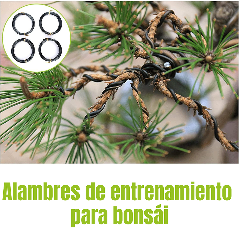 Kit Premium Herramientas Planta Bonsái Acero 12 Piezas Más Estuche 3