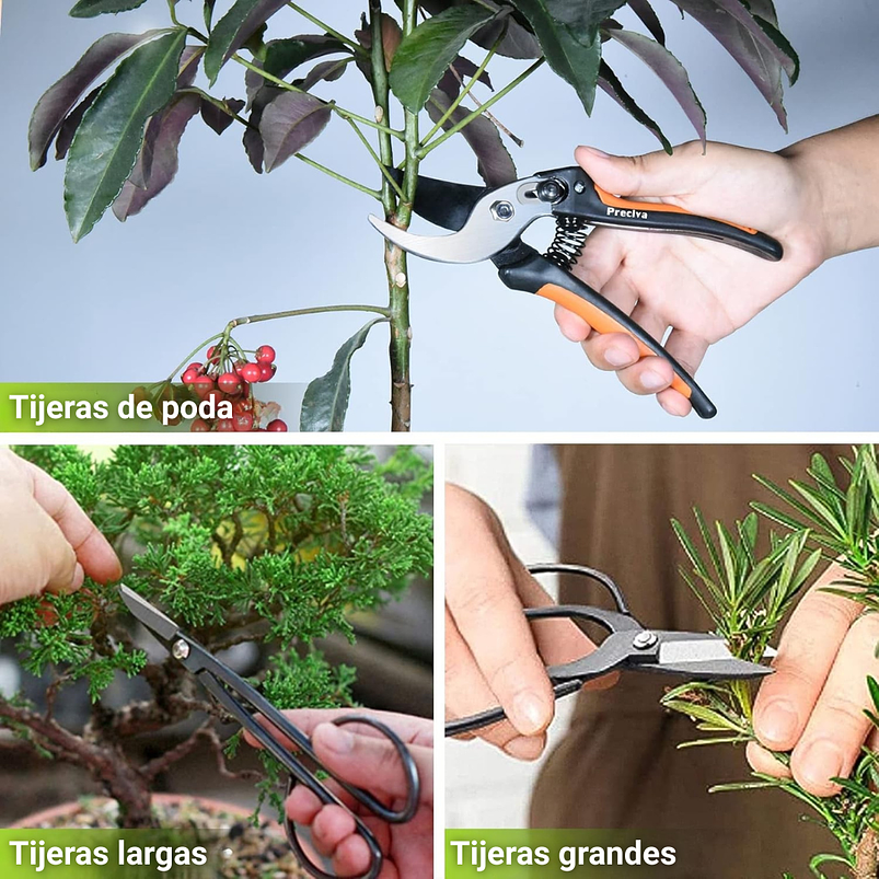 Kit Premium Herramientas Planta Bonsái Acero 12 Piezas Más Estuche 5