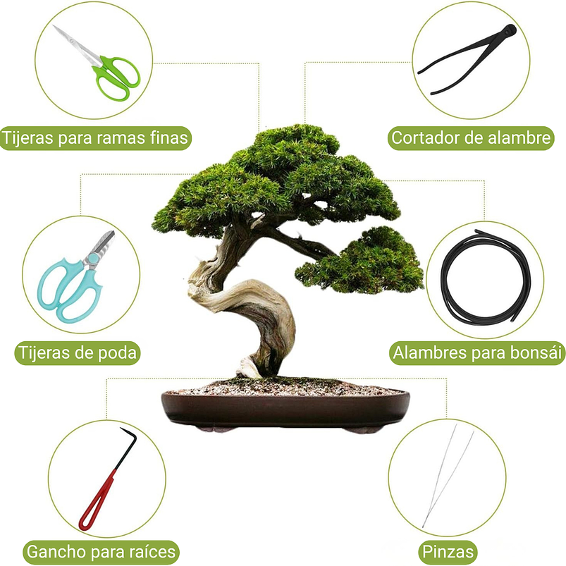 Juego Herramientas Kit Bonsái x9 Piezas Más Estuche 3