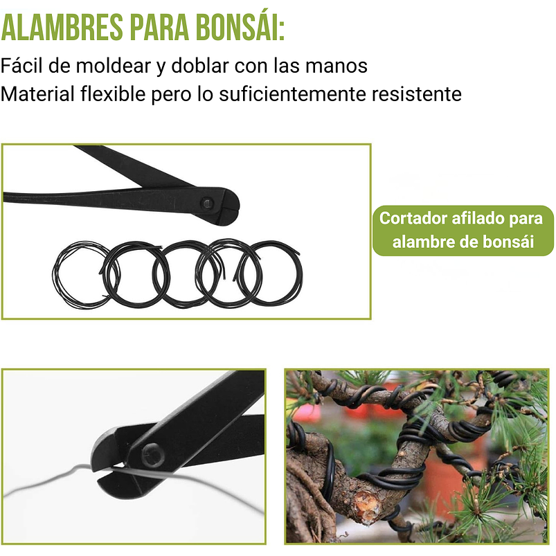Juego Herramientas Kit Bonsái x9 Piezas Más Estuche 4