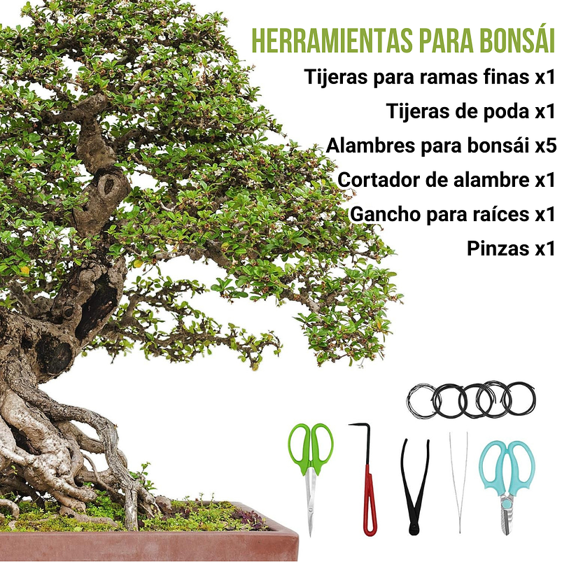 Juego Herramientas Kit Bonsái x9 Piezas Más Estuche 6