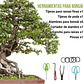 Juego Herramientas Kit Bonsái x9 Piezas Más Estuche - Miniatura 6