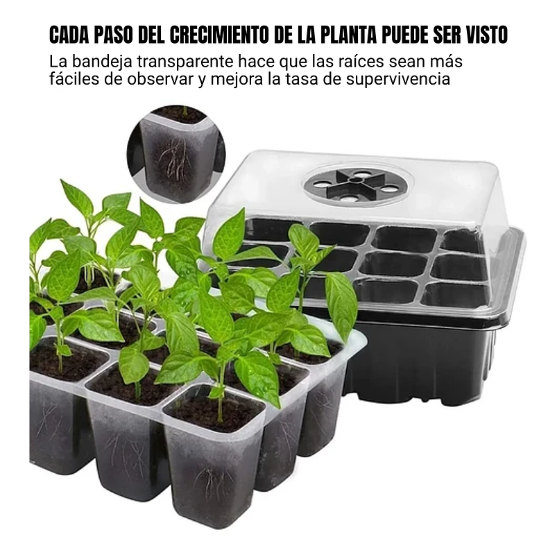 Bandeja Germinación Semillas x01 Unidad Cúpula Plástica 3