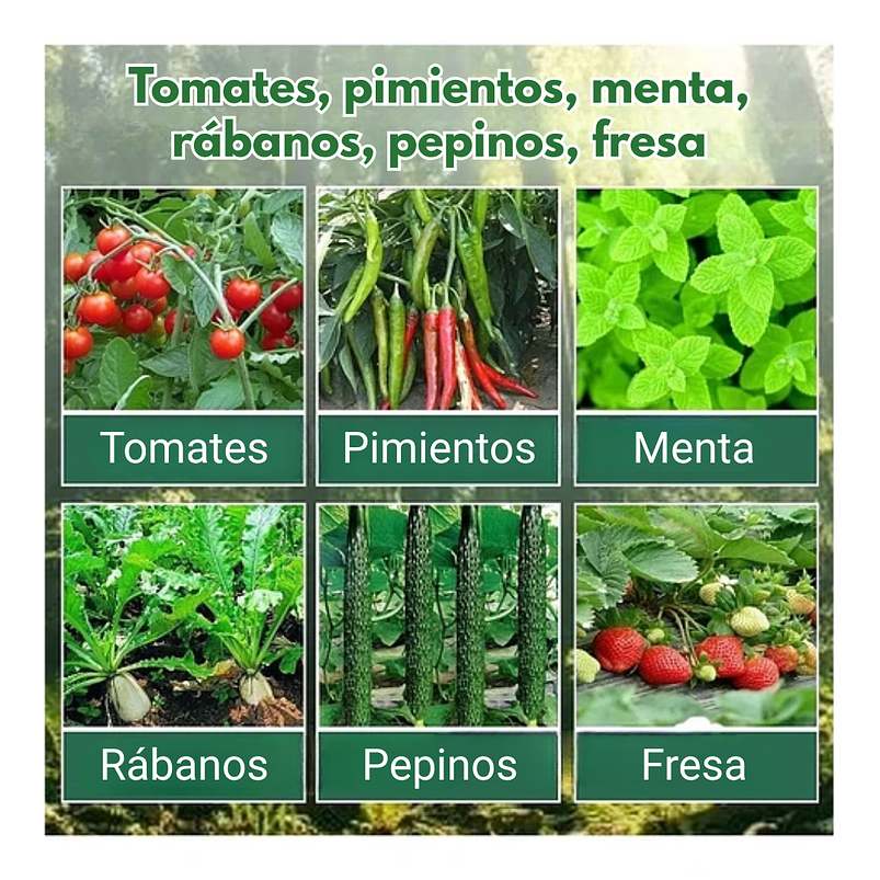 Bandeja Germinación Semillas x01 Unidad Cúpula Plástica 6