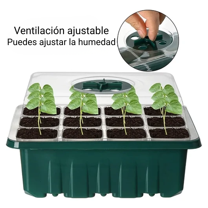 Bandeja Germinación Semillas x01 Unidad Cúpula Plástica 7