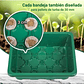 Bandeja Germinación Semillas x01 Unidad Cúpula Plástica - Miniatura 10