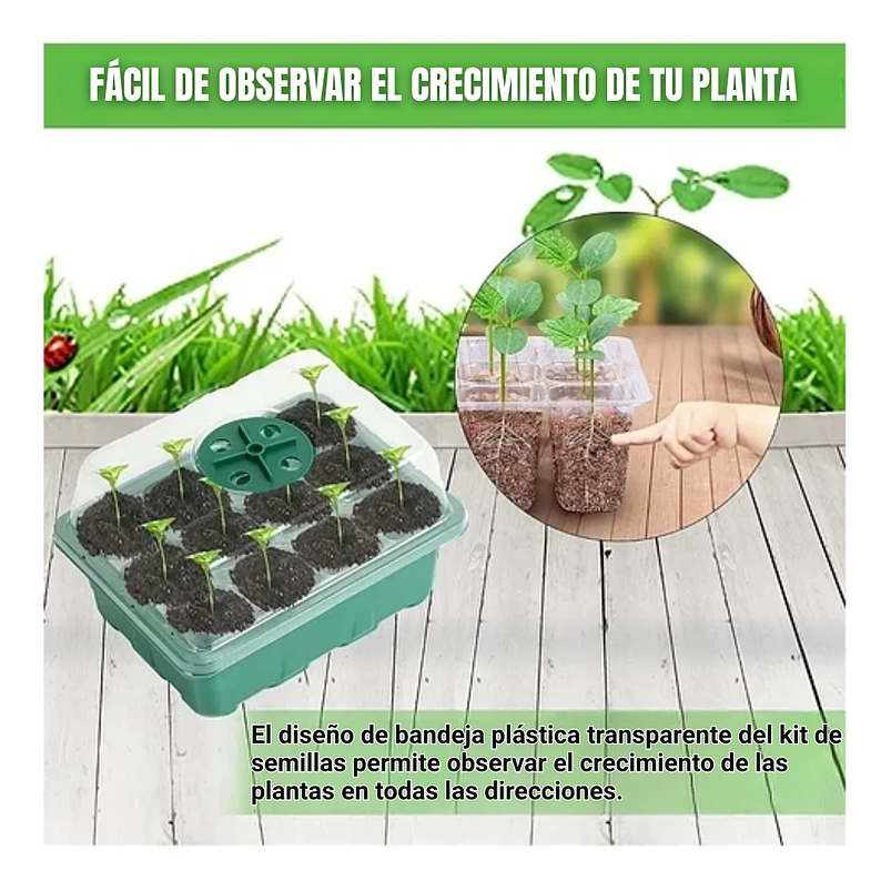 Bandeja Germinación Semillas x01 Unidad Cúpula Plástica 12