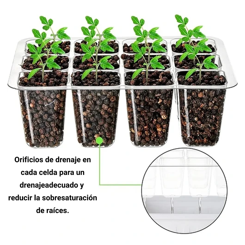 Bandeja Germinación Semillas x01 Unidad Cúpula Plástica 13