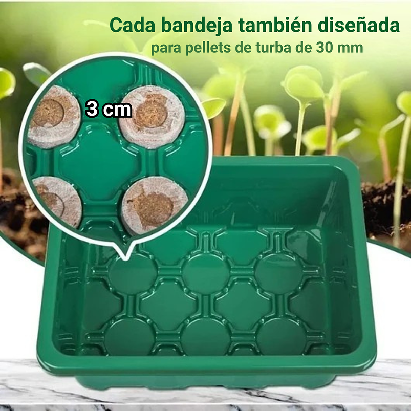 Bandeja De Germinar x12 Celdas, Cubierta Ajuste x5 Unidades 7
