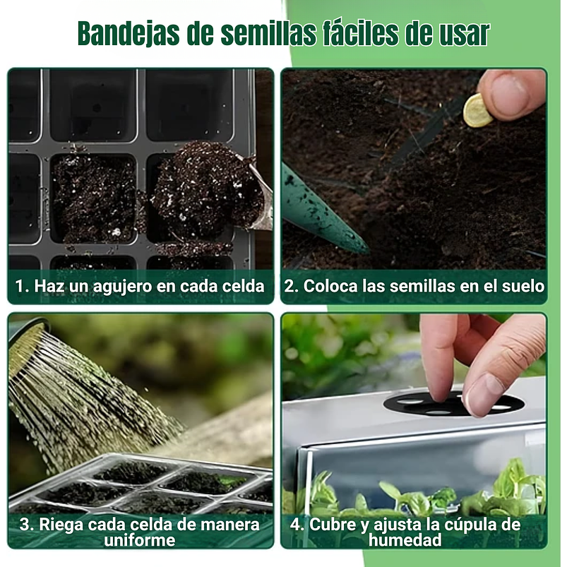 Bandeja De Germinar x12 Celdas, Cubierta Ajuste x5 Unidades 9