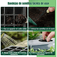 Bandeja De Germinar x12 Celdas, Cubierta Ajuste x5 Unidades - Miniatura 9