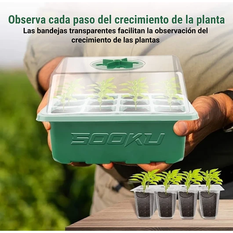 Bandeja Germinación Plantas Más Cúpula x12 Celdas c/u x10 Juegos 4
