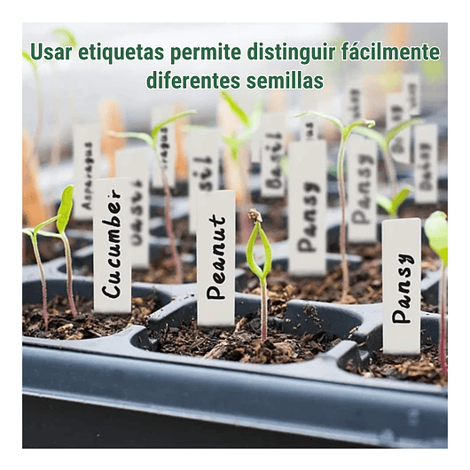 Bandeja Germinación Plantas Más Cúpula x12 Celdas c/u x10 Juegos 5