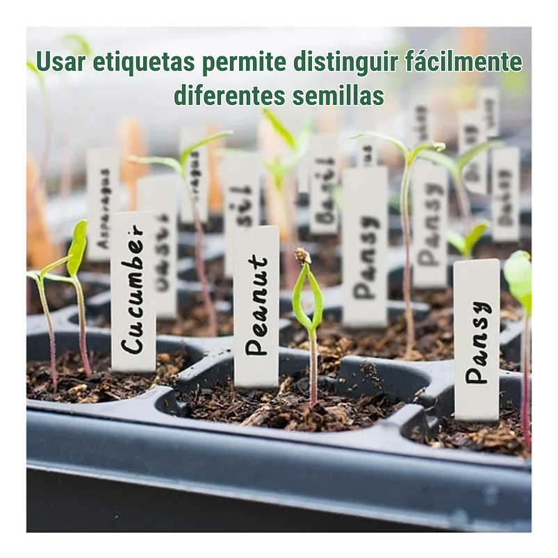 Bandeja Germinación Plantas Más Cúpula x12 Celdas c/u x10 Juegos 5