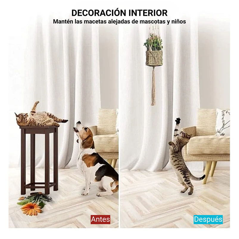 Juego De Colgadores De Plantas - Macetas x5 Unidades En 100% Yute 5