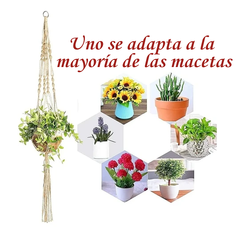 Juego De Colgadores De Plantas - Macetas x5 Unidades En 100% Yute 6