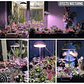 Luz Led Cultivo Crecimiento Plantas Interior 20w 5 Niveles Luz: Blanco Voltaje:110V - Miniatura 6