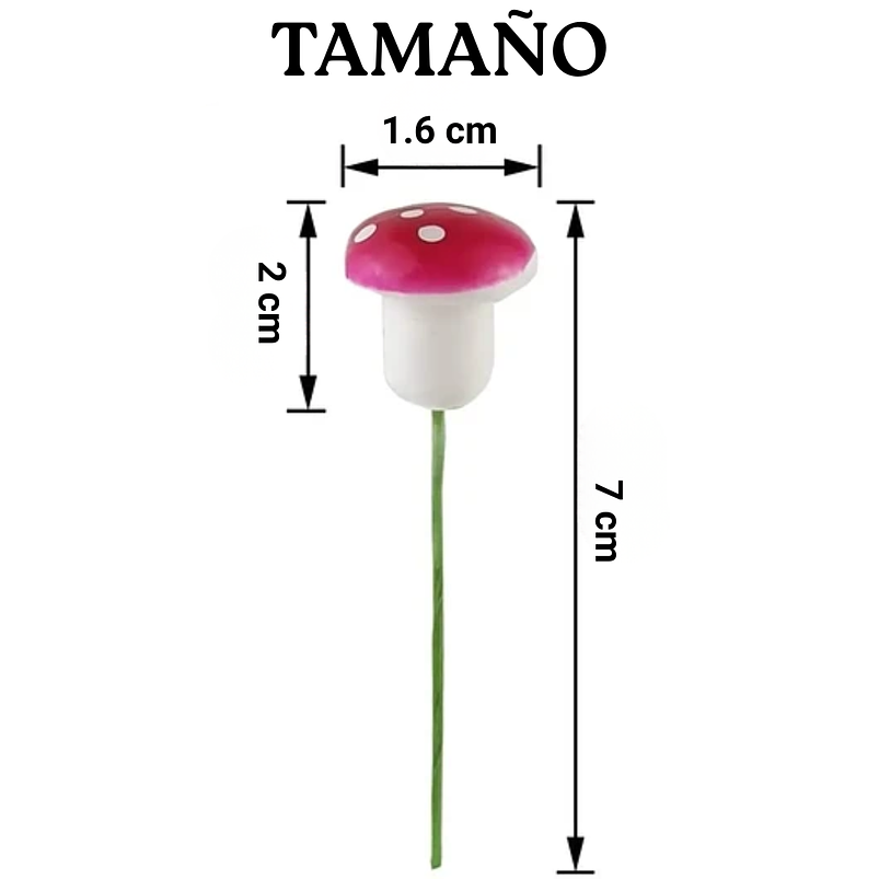 Mini Hongos Decorativo Terrarios Jardín Bonsái x25 Piezas Surtidos 3