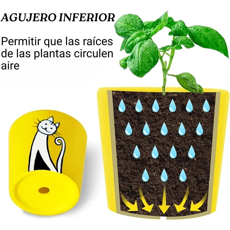 Juego Macetas Cerámica x6 Unidades Gatos En Colores Redonda 4