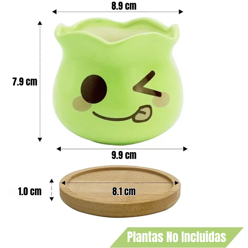 Juego Macetas en Cerámica Premium x6 para Cactus y Suculentas 4