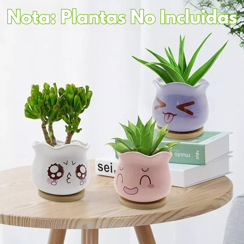 Juego Macetas en Cerámica Premium x6 para Cactus y Suculentas 6