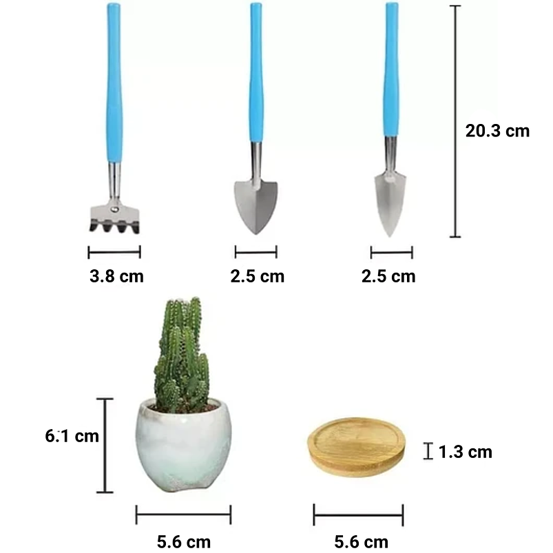Juego Macetas Cerámica Premium Cactus Suculenta x12 Unidades 5