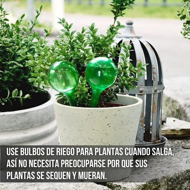Regadera Plastica Plantas Premium Salida en Acero más Spray x1 litro Mas Botella de Apretar 13