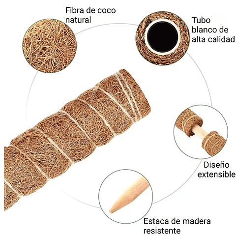 Soporte en Musgo de Coco para Plantas Trepadoras x4 Unidades