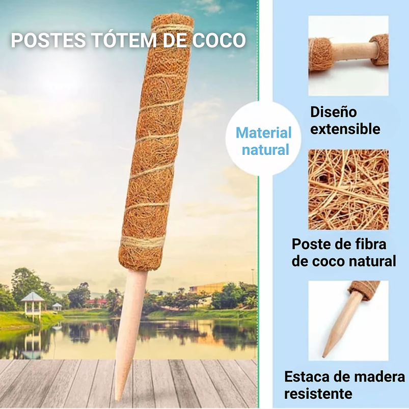 Soporte en Musgo de Coco para Plantas Trepadoras x4 Unidades 5