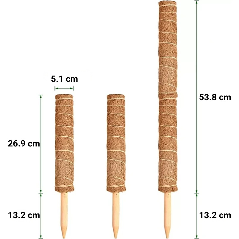 Soporte en Musgo de Coco para Plantas Trepadoras x4 Unidades 6