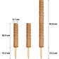 Soporte en Musgo de Coco para Plantas Trepadoras x4 Unidades - Miniatura 6