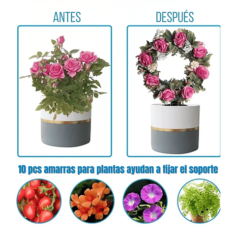 Enrejado de Metal Guía Negro Para Plantas Trepadora Circular