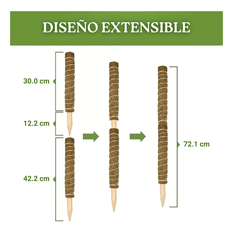 Soporte en Musgo De Coco Para Plantas Trepadoras x4unidades