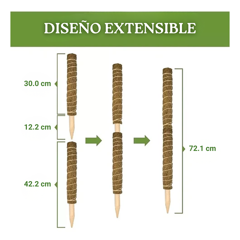 Soporte en Musgo De Coco Para Plantas Trepadoras x4unidades 2