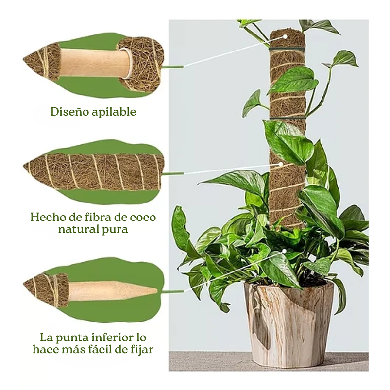 Soporte en Musgo De Coco Para Plantas Trepadoras x4unidades 6