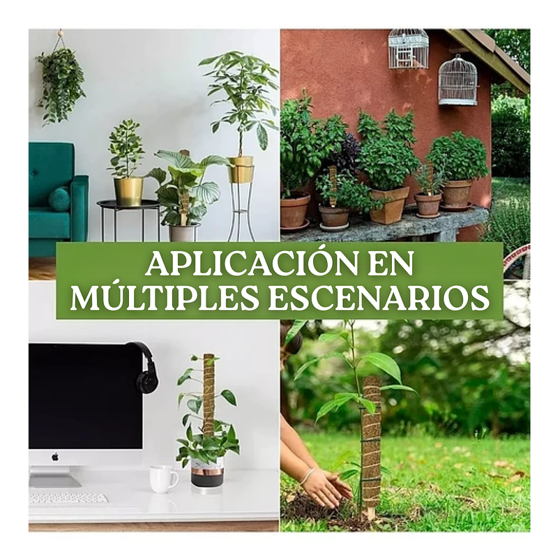 Soporte en Musgo De Coco Para Plantas Trepadoras x4unidades 7