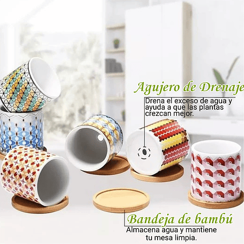 Juego Macetas Cerámica Premium x6 Piezas 8cm más plato Bambu