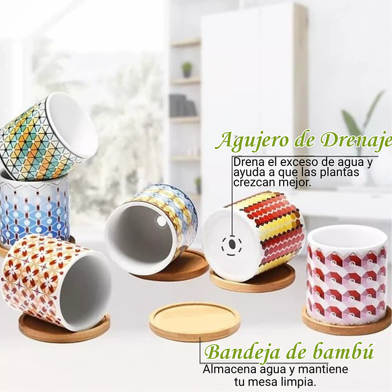 Juego Macetas Cerámica Premium x6 Piezas 8cm más plato Bambu 2