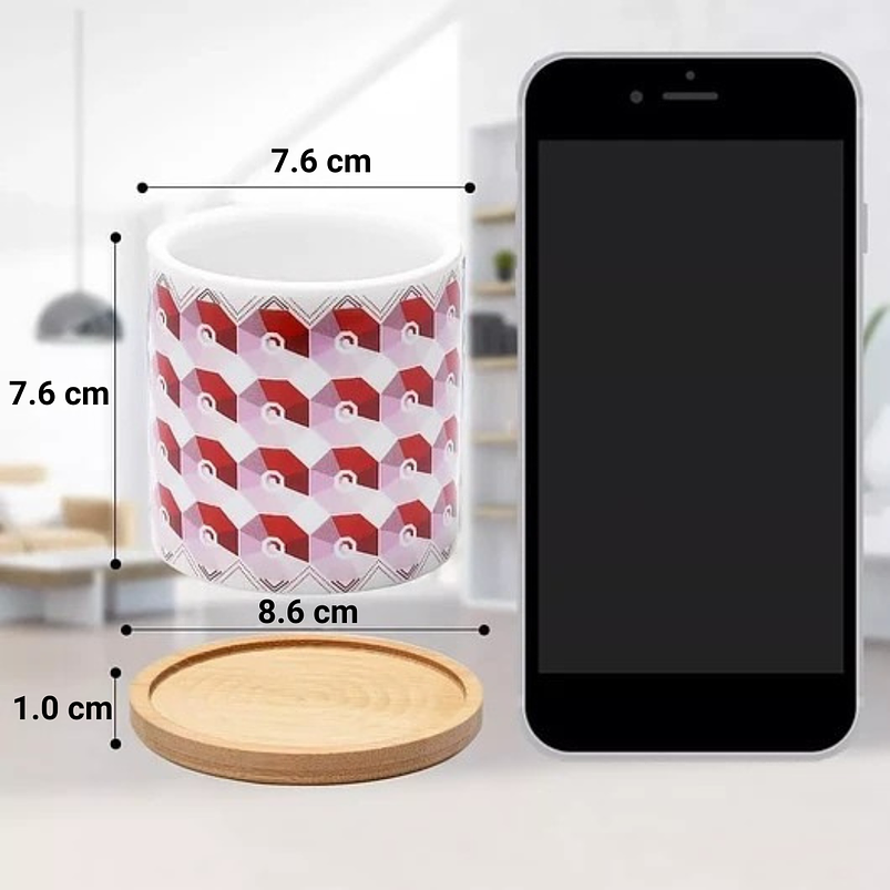 Juego Macetas Cerámica Premium x6 Piezas 8cm más plato Bambu 3