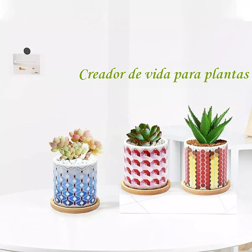 Juego Macetas Cerámica Premium x6 Piezas 8cm más plato Bambu 4