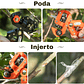 Kit Herramientas de Injerto y Corte Para Plantas Naranjado - Miniatura 4