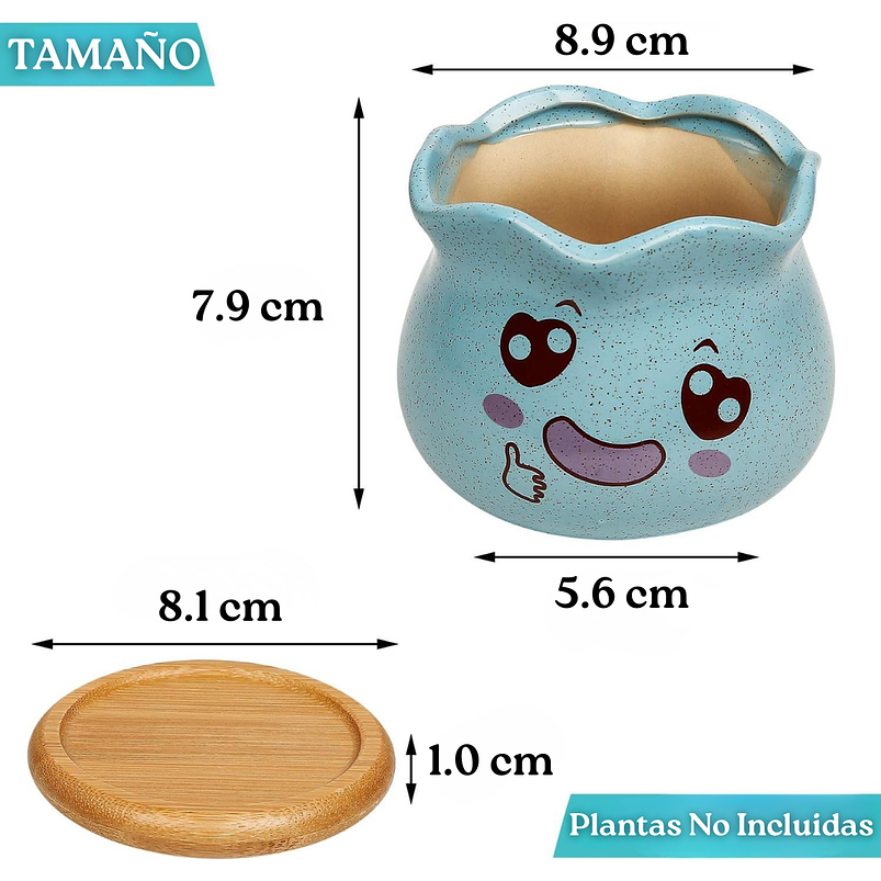 Juego Macetas Cerámica x3 Unidades Plantas, Cactus Y Suculentas 3