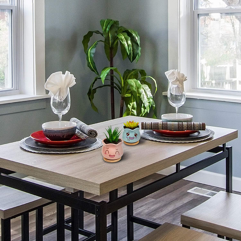 Juego Macetas Cerámica x3 Unidades Plantas, Cactus Y Suculentas 2