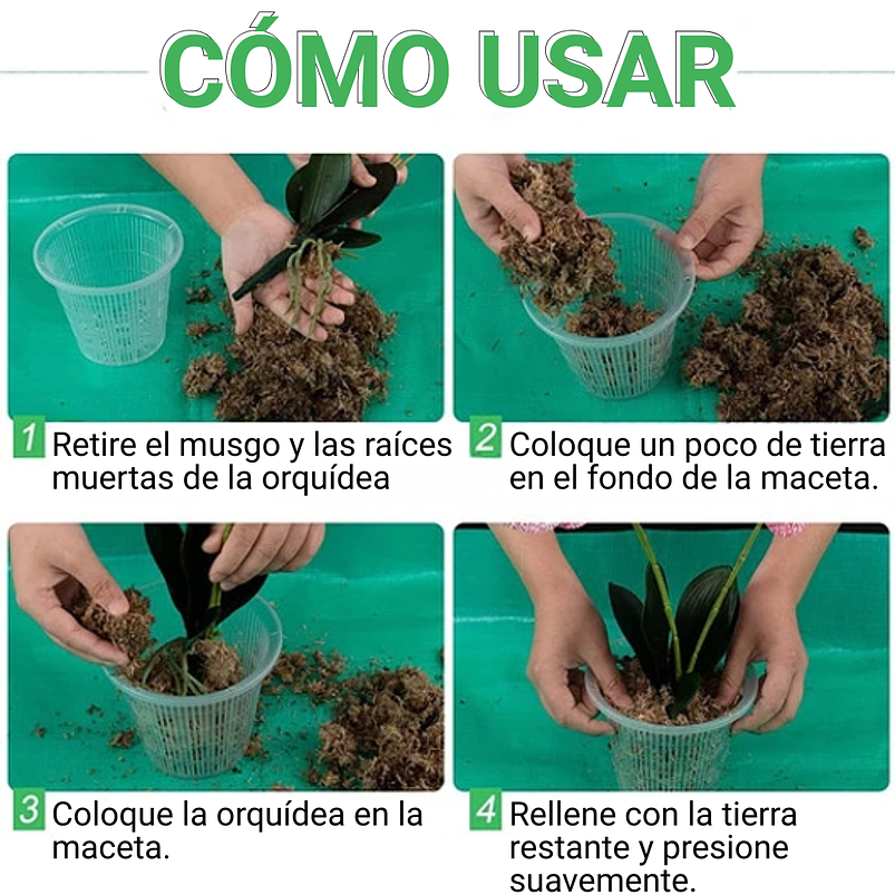 Macetas Siembra Orquídea Plástica x01 Unid Transparente 14cm 5