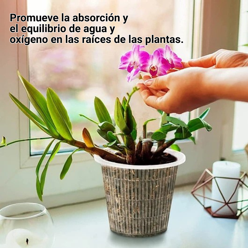 Macetas Siembra Orquídea Plástica x01 Unid Transparente 11cm 4