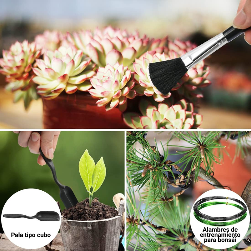 Kit Herramientas Bonsai Suculentas Acero X20 Piezas más estuche 7
