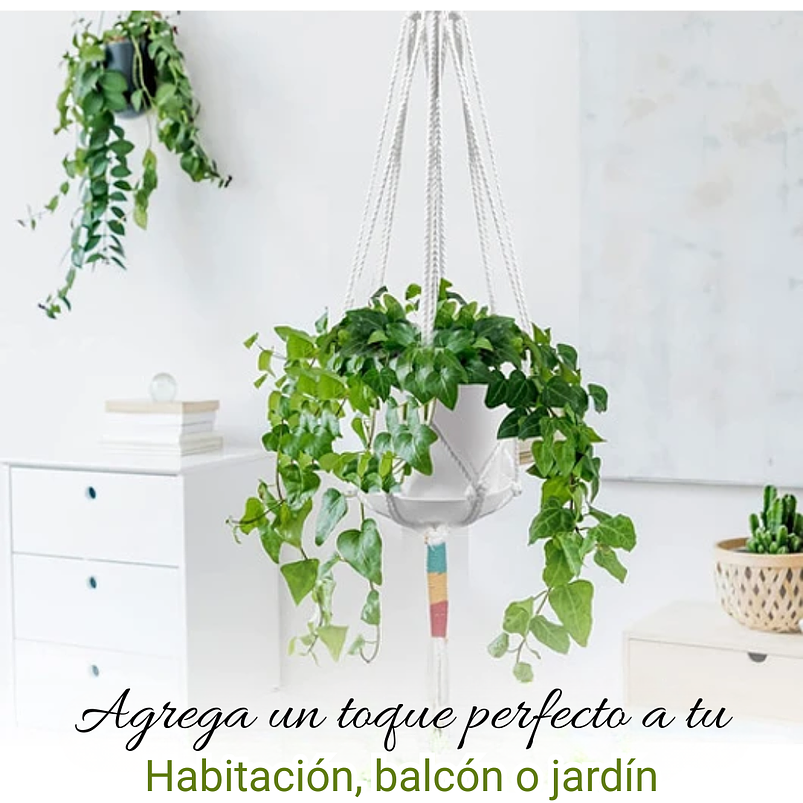 Juego Macetas Plástica x3 Unidades más 3 Macramé Colgar 91cm Largo 5