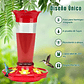 Bebedero Colibríes Aves Jardín Botella en Vidrio 10oz - Miniatura 6