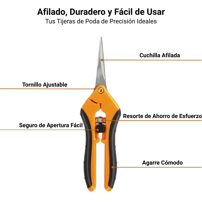 Tijeras De Poda Para Corte Recto y Curvo x 2 Unidades En Acero Inoxidable Plantas Bonsais 8